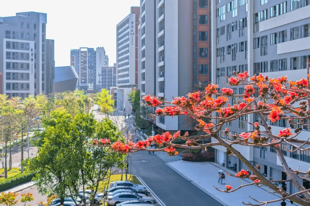 virtual_attach_file.vsb?afc=7nNlVbMRLiolL8n2RV7olQkUmvioRNdioz-sUmnRM4fkUz70gihFp2hmCIa0okysn1yZLkhVM8V7U4fknllPnRnRnNCaLzMRMRvDozQfoznFLz7inm-PLNrFM4VRMm9Jv2bjo4OeosTbqDXZ_ShXptQ0g47aMz-0LzNZLmUJqd-nx&oid=2132157943&tid=1052&nid=19824&e= btiÌåÓý¡¤(Öйú)¹Ù·½ÍøÕ¾ - APPÏÂÔØ