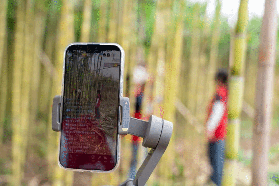 virtual_attach_file.vsb?afc=7nmnV7ollZUNU8U24MRMN-ZnRN4L7Wd2UNnkM4vPL8-YM4-0gihFp2hmCIa0LSh2U1h2Mky8L4MkUzGsnNLiM8VfLlUiM4VVL4Qknln2LmfFMz9Doz9ZLRrFMzNZUl-Jv2bjo4OeosTbqDXZ_ShXptQ0g47aMz-0LzNZL4UJqd-nx&oid=2132157943&tid=1052&nid=19834&e= btiÌåÓý¡¤(Öйú)¹Ù·½ÍøÕ¾ - APPÏÂÔØ