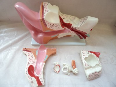 virtual_attach_file.vsb?afc=MozroRnlC4nlVVMuR9sol-iL8-sLmNU8MmCsnNLYolrkUmL0gihFp2hmCIa0LSh2USybMkh2M7VVL4lYnNrVU494nNC4LzfRM87PLR78LzQFMmTkn7LaMmfFLmUbUlCJv2bjo4OeosTbqDXZ_ShXptQ0g47boz-0M4UbMkbw62n8c&oid=2132157943&tid=1992&nid=7494&e= btiÌåÓý¡¤(Öйú)¹Ù·½ÍøÕ¾ - APPÏÂÔØ