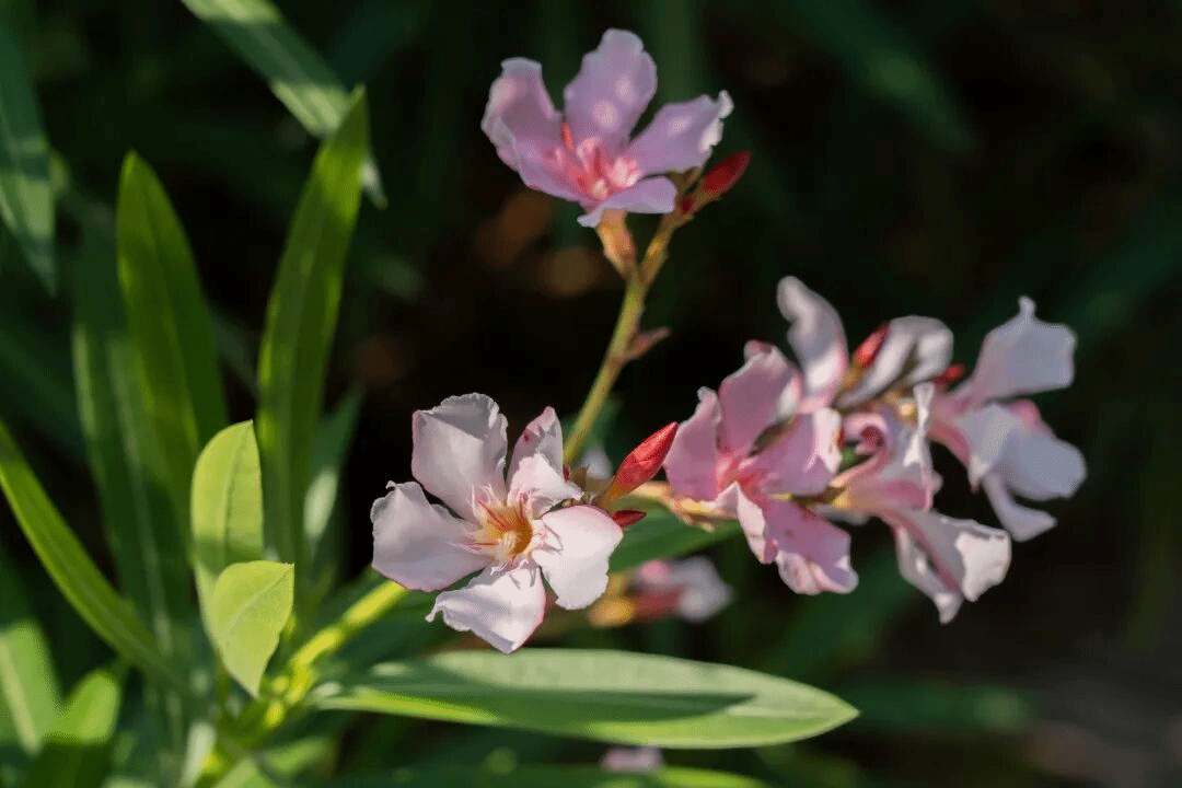 virtual_attach_file.vsb?afc=RLz97aLlLbU8L8nVlCZnzUsUm9ZLRn2VM4A2M7UaLz7sUmN0gihFp2hmCIa0MkhfUSh7okh7oz-iM4N4o7UbL7r2nm7YUm7DL4lbMz9YMlQFMlUYLNC4nlQFMRUsnR7Jv2bjo4OeosTbqDXZ_ShXptQ0g47aMz-0LzNiL4UJqddnx&oid=2132157943&tid=1052&nid=19534&e= btiÌåÓý¡¤(Öйú)¹Ù·½ÍøÕ¾ - APPÏÂÔØ