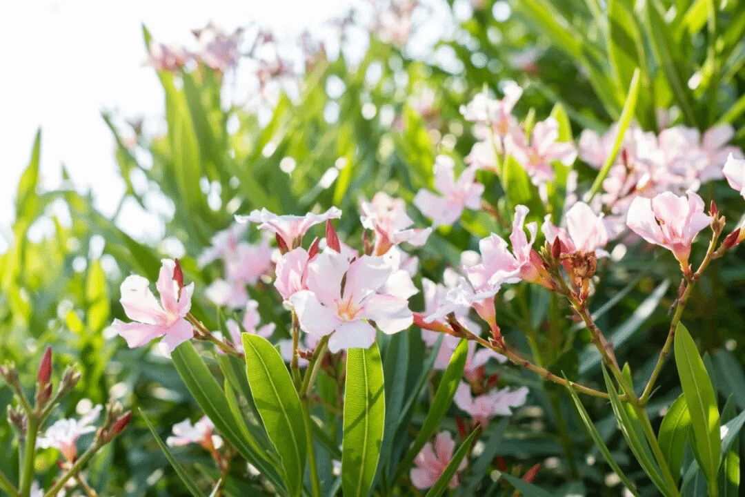 virtual_attach_file.vsb?afc=RMNL7bL4VRMmn2MV4MkU878M47an7Q2RUzvZMmA2M7nfL770gihFp2hmCIa0UYhfLSybUYhRn7laMNlbnNC8LmlsLl7DUz-4LN7aU4-PL8nFUmCiozUsL4WFMmlZL47Jv2bjo4OeosTbqDXZ_ShXptQ0g47aMz-0LzNiL4UJqddnx&oid=2132157943&tid=1052&nid=19534&e= btiÌåÓý¡¤(Öйú)¹Ù·½ÍøÕ¾ - APPÏÂÔØ