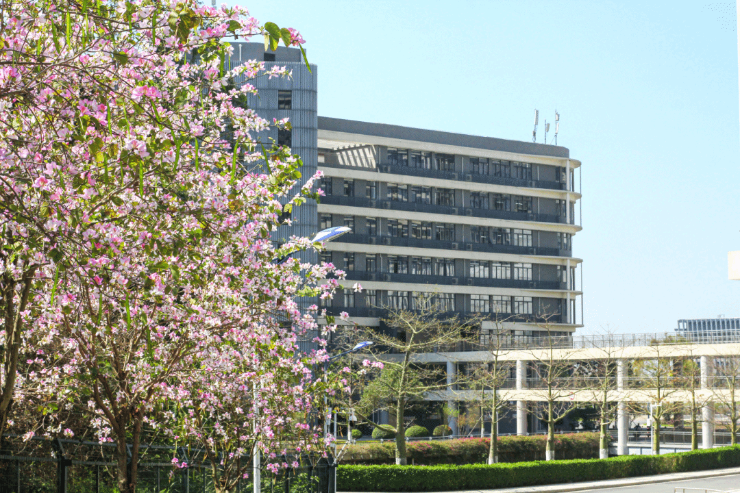 virtual_attach_file.vsb?afc=RUmr77nNMRMllZMV4T2MzC8ozGZnzl2DU4vPMmUPUm7sL7C0gihFp2hmCIa0MSyZnkhknkyPMm9ZnRvaU4CZLzGYUN-PoRNaM8QRL7CaM8nFnRT2LmvPMNrFM8laMNlJv2bjo4OeosTbqDXZ_ShXptQ0g47aMz-0LzNiL4UJqddnx&oid=2132157943&tid=1052&nid=19534&e= btiÌåÓý¡¤(Öйú)¹Ù·½ÍøÕ¾ - APPÏÂÔØ