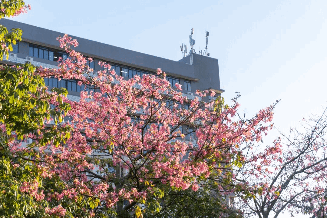 virtual_attach_file.vsb?afc=dLmU-DUmAfnRn7nWR9YMzA2nlCYLR-HiU8C8oR67nRGsLmL0gihFp2hmCIa0MYyZLShfLkyDM49aMmnRM8nko7rfn7UbnzCYL4LYL7WVnRrFUzWfoRM2UmAFM4-snmLJv2bjo4OeosTbqDXZ_ShXptQ0g47aMz-0LzNaoRUJqdgnx&oid=2132157943&tid=1052&nid=19084&e= btiÌåÓý¡¤(Öйú)¹Ù·½ÍøÕ¾ - APPÏÂÔØ