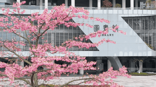 btiÌåÓý¡¤(Öйú)¹Ù·½ÍøÕ¾ - APPÏÂÔØ