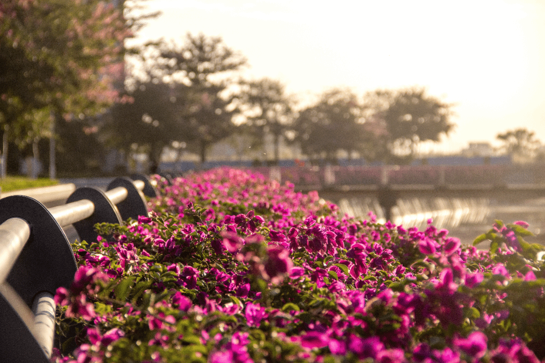 btiÌåÓý¡¤(Öйú)¹Ù·½ÍøÕ¾ - APPÏÂÔØ