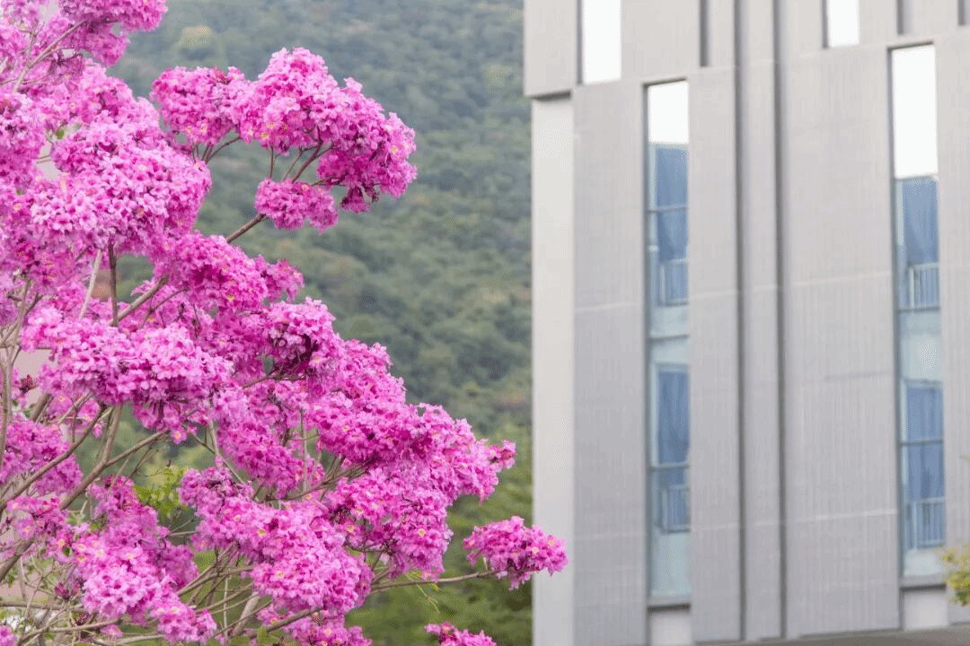 btiÌåÓý¡¤(Öйú)¹Ù·½ÍøÕ¾ - APPÏÂÔØ